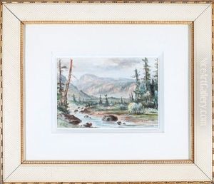 Cattle By The Shore thumbnail