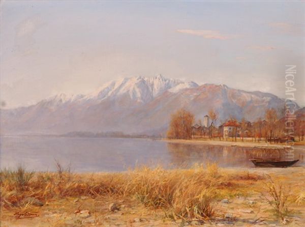 Morgenstimmung Am Lago Maggiore - view 1