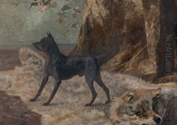 Schwarzer Pinscher Auf Barenfell - view 1