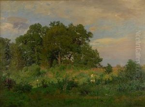 Wiese Vor Laubwald Im Sommer Wiese Vor Laubwald Im Sommer