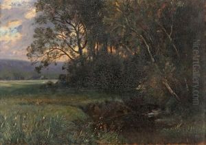 Abendliche Stimmung Am Waldrand by Stephanie Von Strechine