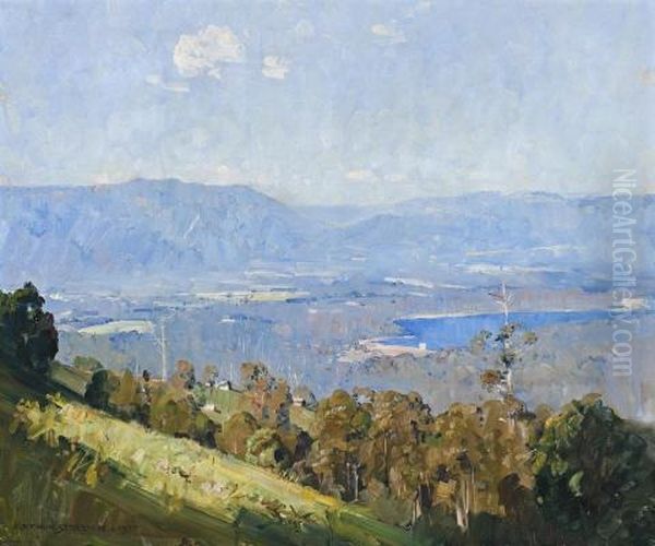 Observatory Road, Kalorama Park, Looking Towards Silvan - view 1