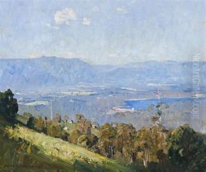Observatory Road, Kalorama Park, Looking Towards Silvan
