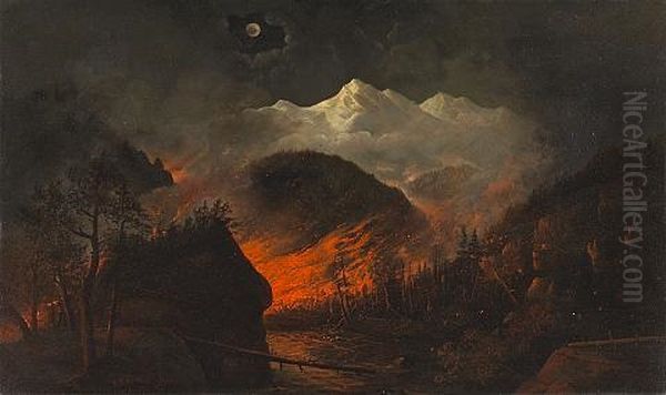 Forest Fire At Night - view 1