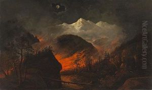 Forest Fire At Night