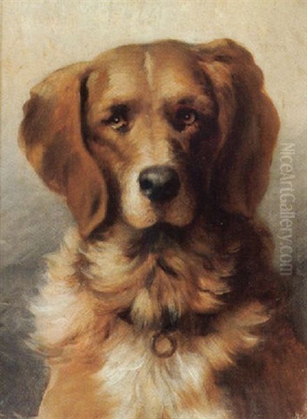 Hundeportrait - view 1