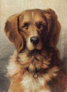 Hundeportrait