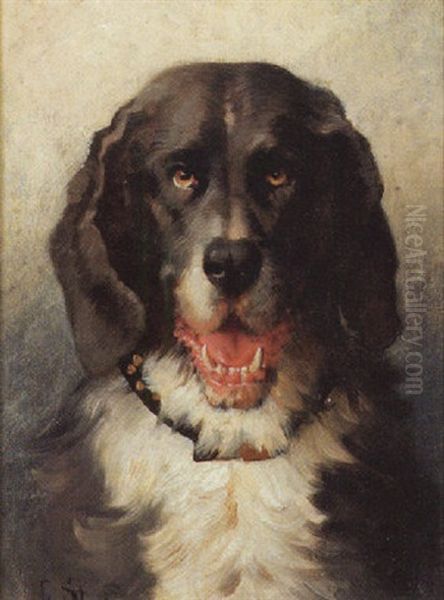 Hundeportrait - view 1