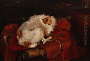 Terrier Terrier