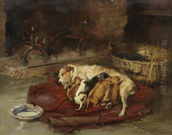 Contentment - view 1
