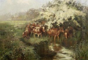 Calves Under Hawthorn Blossom
