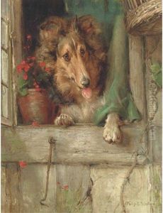 A Collie At A Window A Collie At A Window
