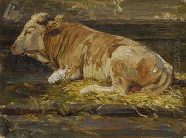 Liegende Kuh Im Stall (study) - view 1