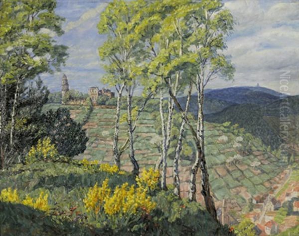 Blick Auf Die Ruine Des Klosters Limburg In Der Pfalz - view 1