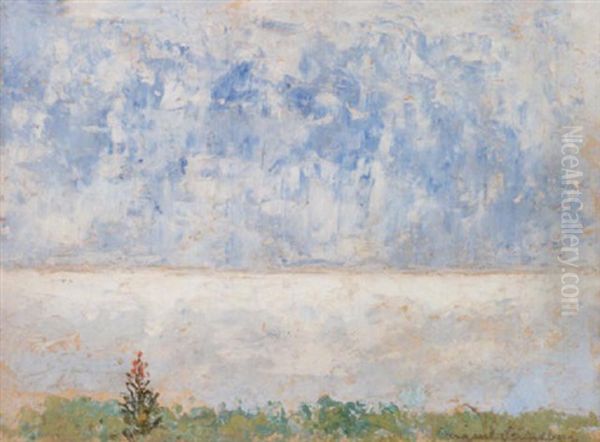 Den Ensamma Blomman - view 1