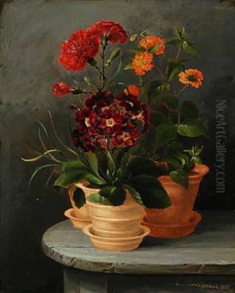 Flowers In Pots - view 1