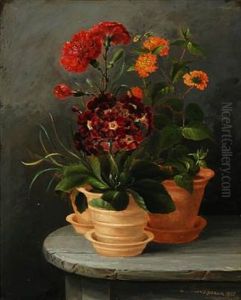 Flowers In Pots by Christian Strodtmann