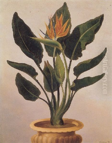 Still Life With A Potted, Flowering Strelitzia Reginae - view 1