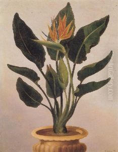 Still Life With A Potted, Flowering Strelitzia Reginae by Christian Strodtmann