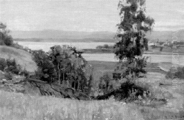 Utsikt Fran Elseberg, Oslofjorden - view 1