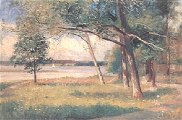 Insjolandskap - view 1
