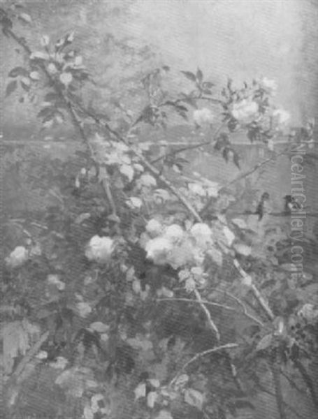 Bluhende Rosen Am Ufer Des Bodensees - view 1