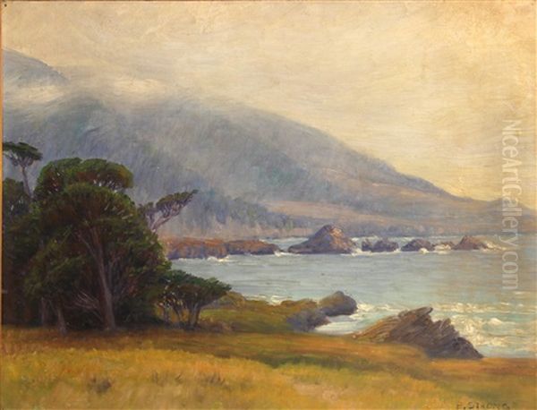 Fog Lifting On The Coast - view 1