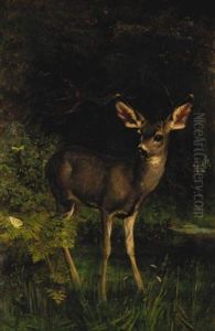 Deer In The Woods