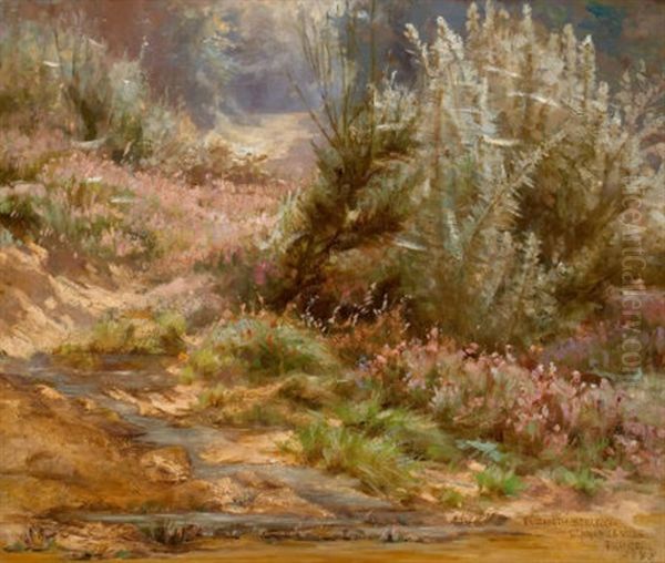 Wildflowers By A Stream - view 1