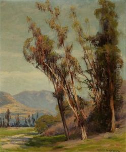 Eucalyptus In A California Landscape by Elizabeth Strong