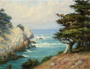 Point Lobos by Elizabeth Strong