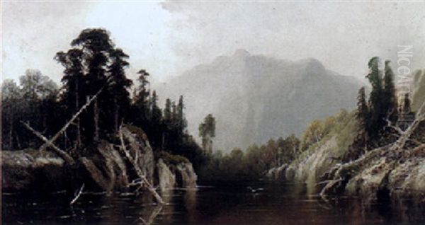 On The Mud Lake - view 1