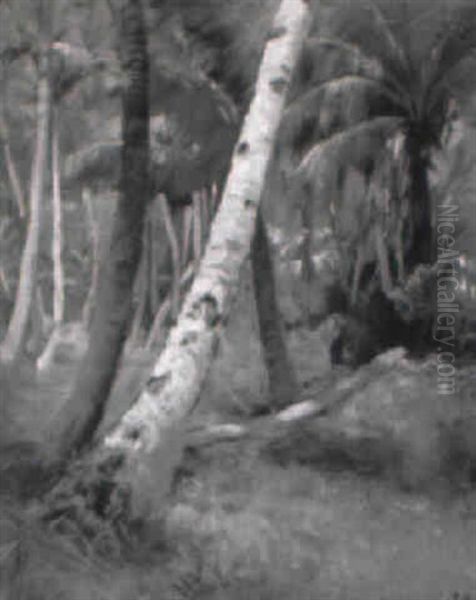 Palm Grove, Hawaii - view 1
