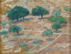 Grove Of Trees