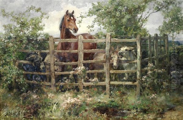 Paddock Pals - view 1