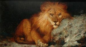 Lion (study)