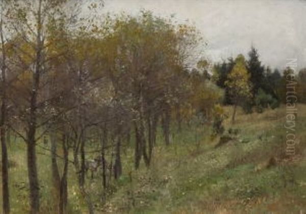 Rehe Am Waldesrand - view 1