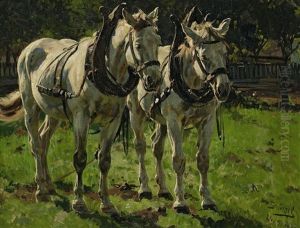 Zwei Schimmel Nach Rechts