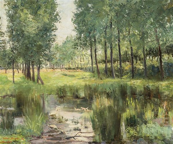 La Mare Aux Canards - view 1