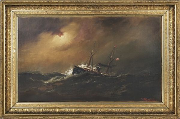 Seascape With An American Steamship - view 1