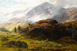 Deer In The Scottish Highlands