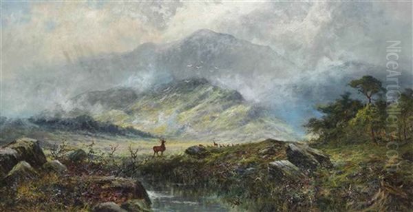 Stags In A Misty Highland Landscape - view 1