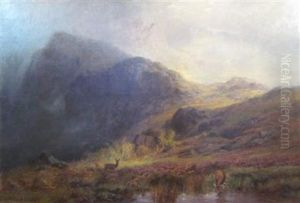 The Heart Of The Highlands