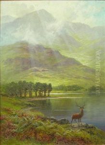 Stag By A Highland Loch