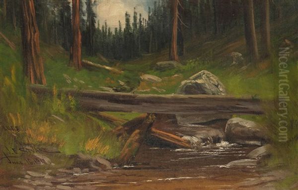 The Cascade On Lealand Creek At Cow Creek, Tuolnmne [sic] Co. California, June 17, 1918, Fallen Log Across A Stream - view 1