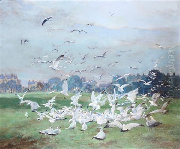 Seagulls In A Landscape - view 1