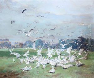 Seagulls In A Landscape by Robert Easton Stuart