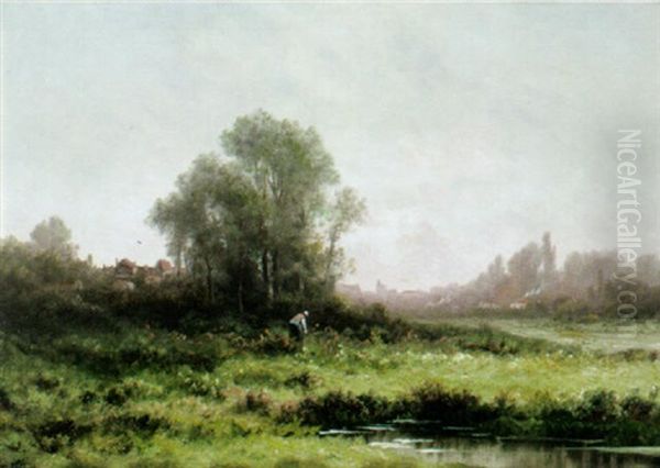 Morgendliche Sommerlandschaft - view 1