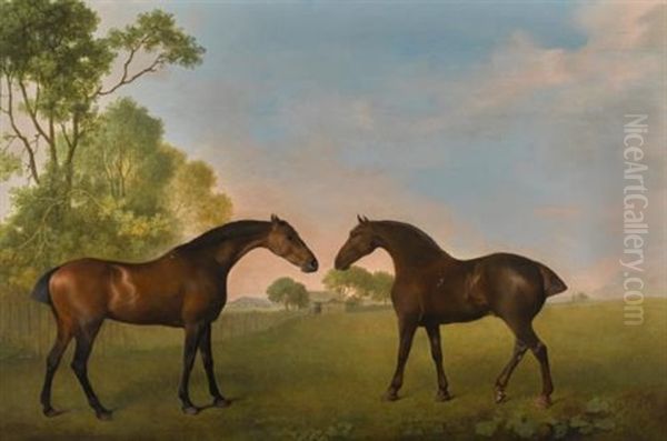 Two Bay Hunters In A Paddock - view 1