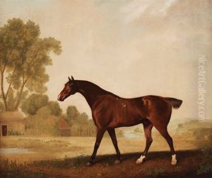 Eagle, A Bay Racehorse